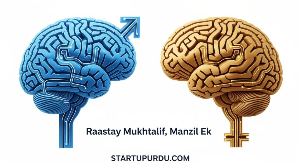 Brain Size vs. Efficiency Science Explains the Real Difference Between Male and Female Brains