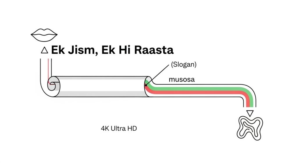 The Surprising Anatomical Connection Between Your Lips and Anus