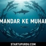 How Dolphins See Our Skeletons and Why They Save Humans startup urdu
