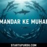 How Dolphins See Our Skeletons and Why They Save Humans startup urdu
