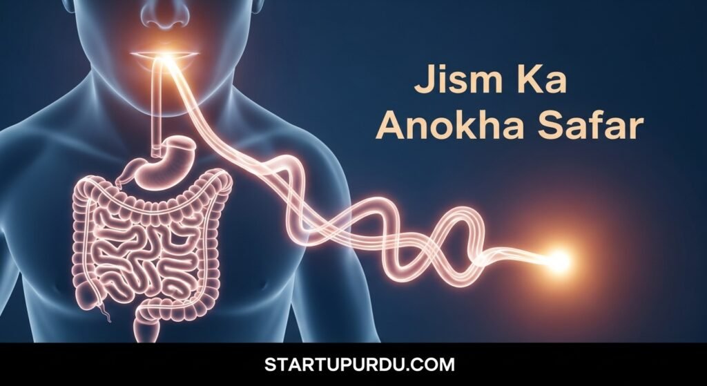 The Surprising Anatomical Connection Between Your Lips and Anus