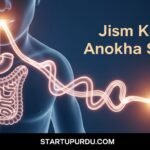 The Surprising Anatomical Connection Between Your Lips and Anus