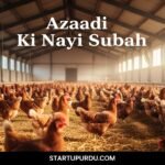 Sweden Becomes World's First Country to Go 100% Cage-Free for Hens